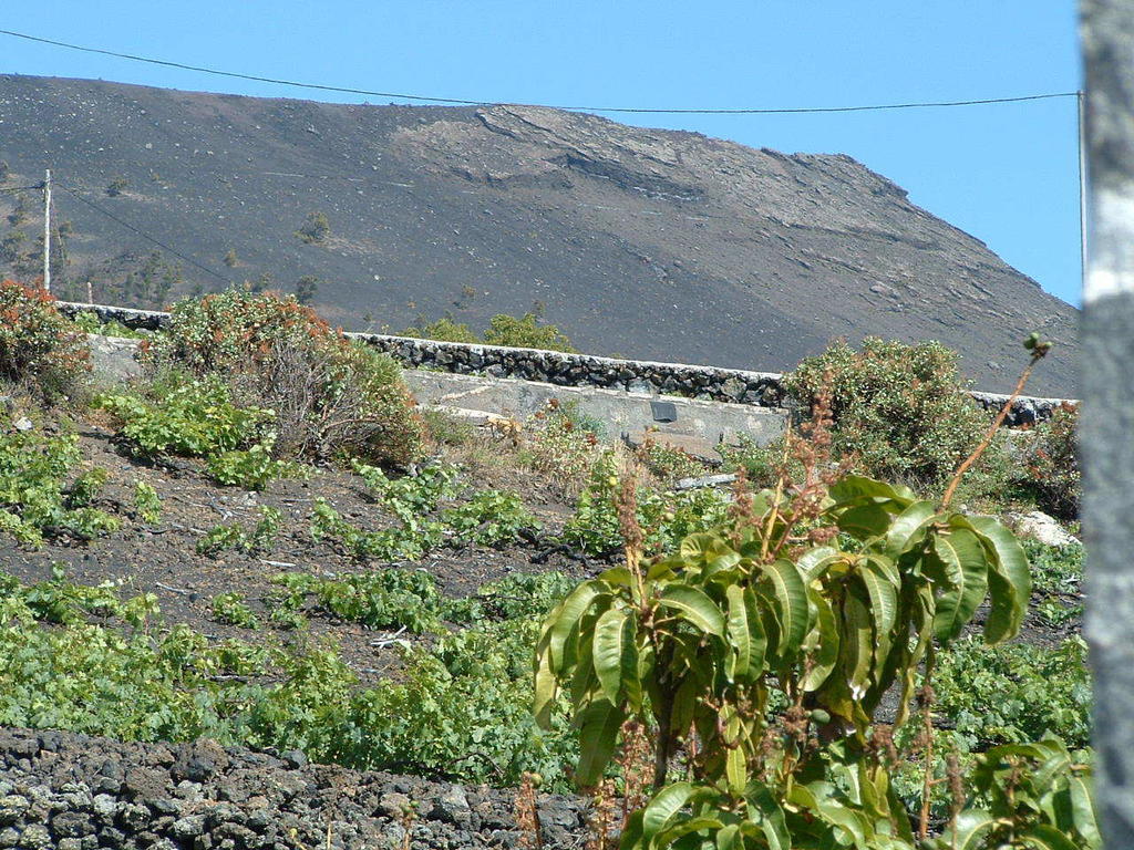 Casa Las Las Vinas Fuencaliente de la Palma Zewnętrze zdjęcie