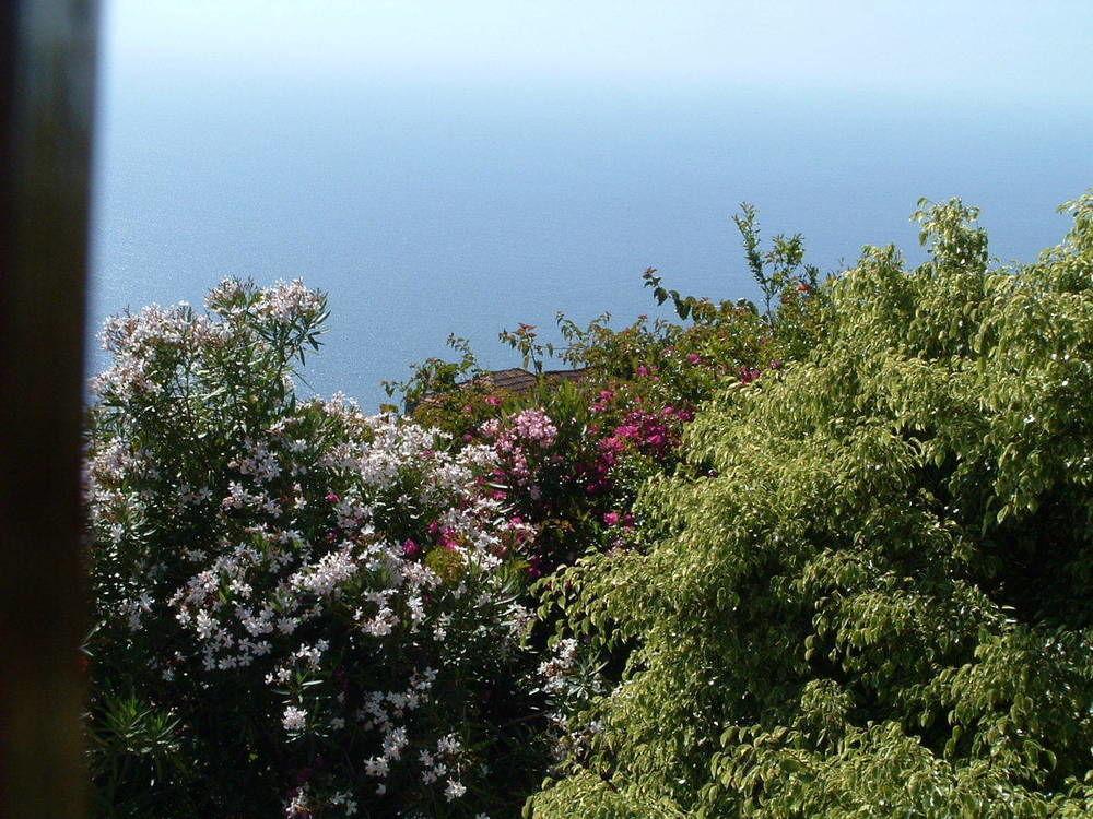 Casa Las Las Vinas Fuencaliente de la Palma Zewnętrze zdjęcie