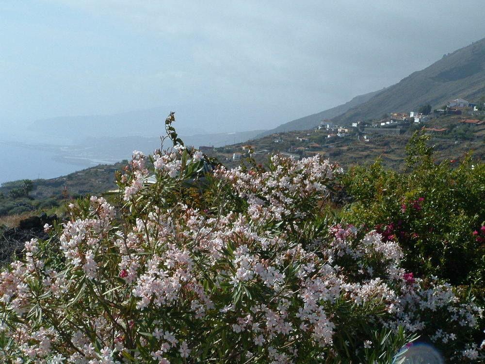 Casa Las Las Vinas Fuencaliente de la Palma Zewnętrze zdjęcie