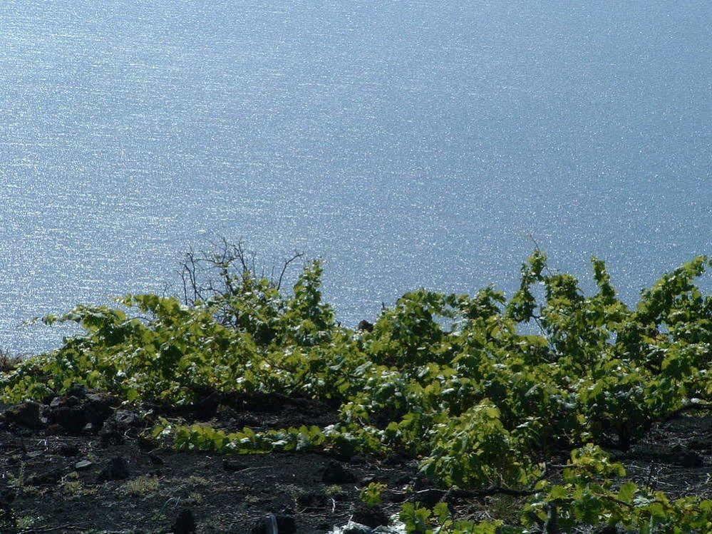 Casa Las Las Vinas Fuencaliente de la Palma Zewnętrze zdjęcie